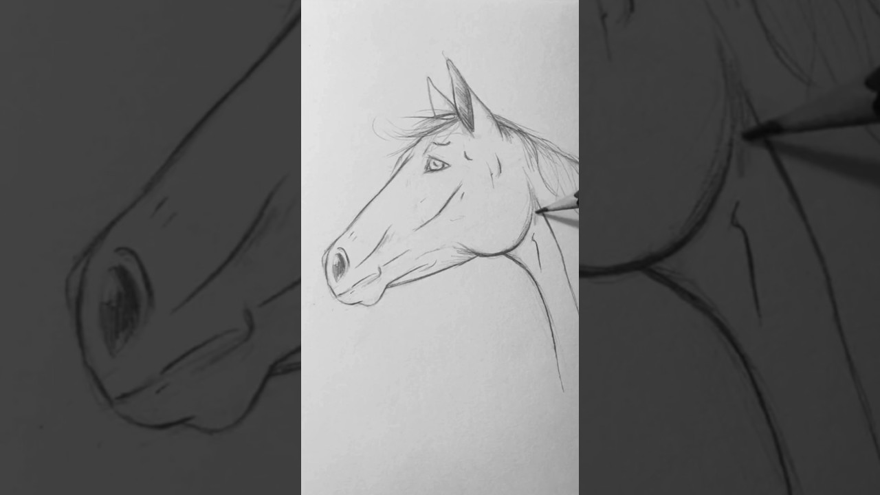 🐴 This Horse Sketch Was Done in JUST 15 Seconds! 🤯 #shorts