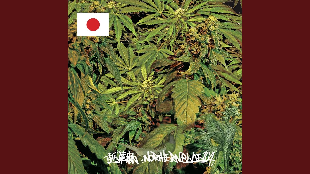 契