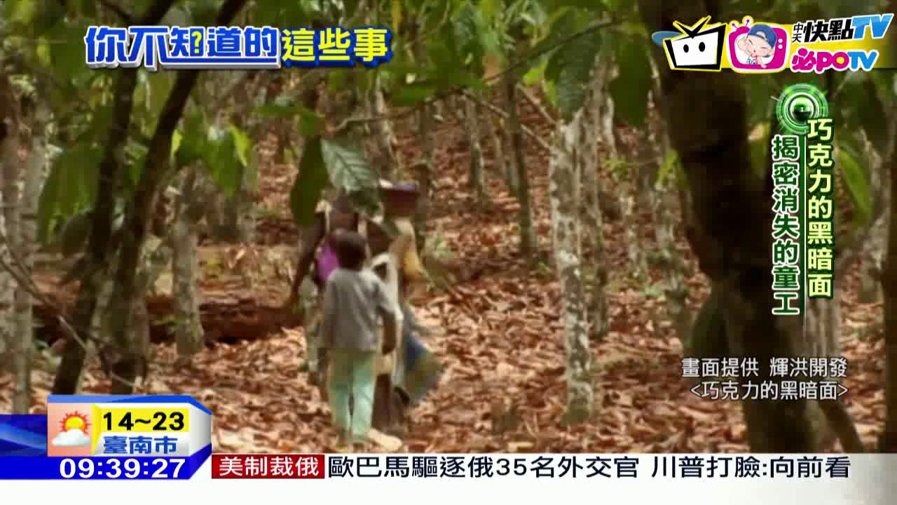 20161230中天新聞　巧克力的黑暗面　成千上萬童工苦澀