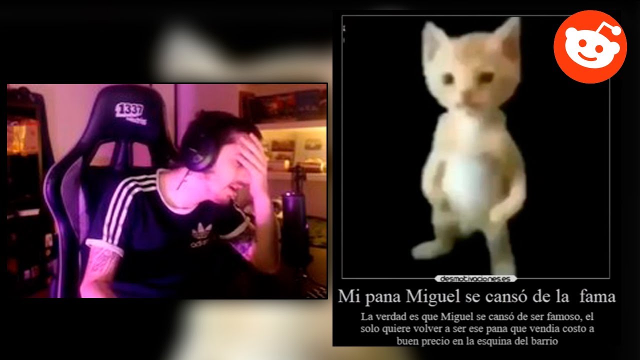mi pana miguel se cansó de la fama 😥