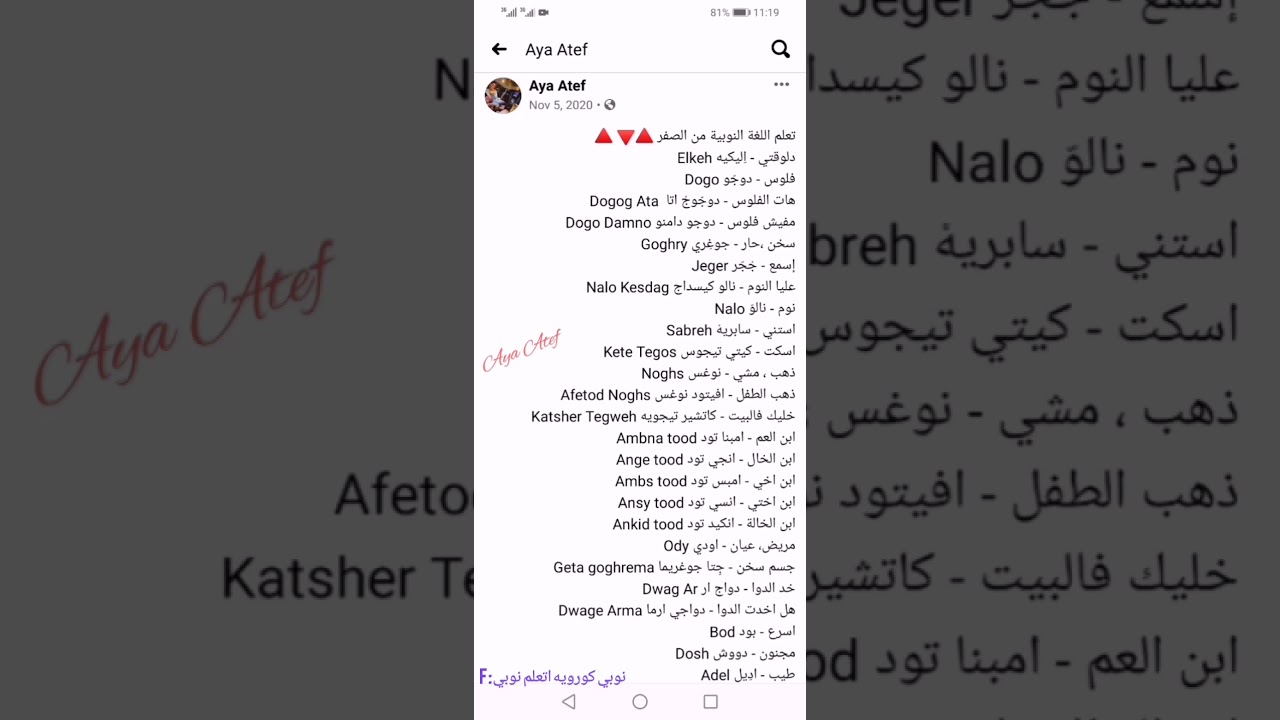 تعلم اللغة النوبيه من الصفر كلمات نوبية مترجمة للعربي👇