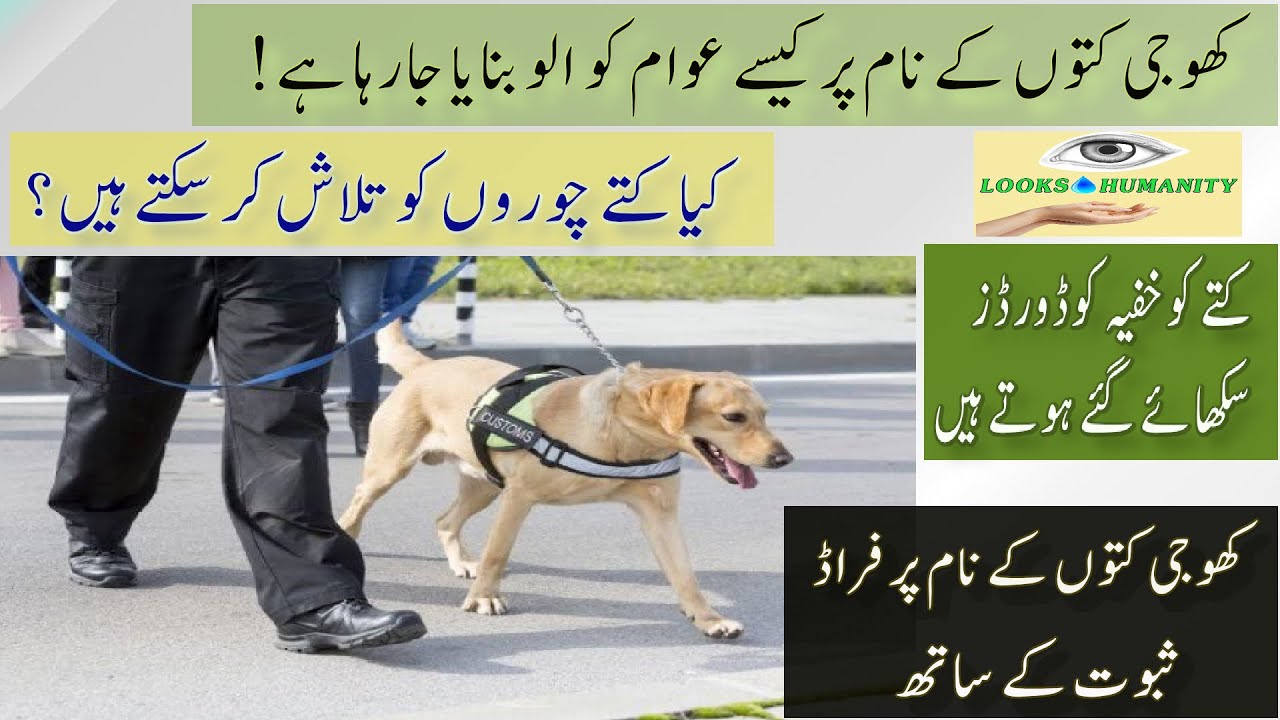 Reality of Detective Dogs in Pakistan | Khoji Kutto ki Haqeeqat