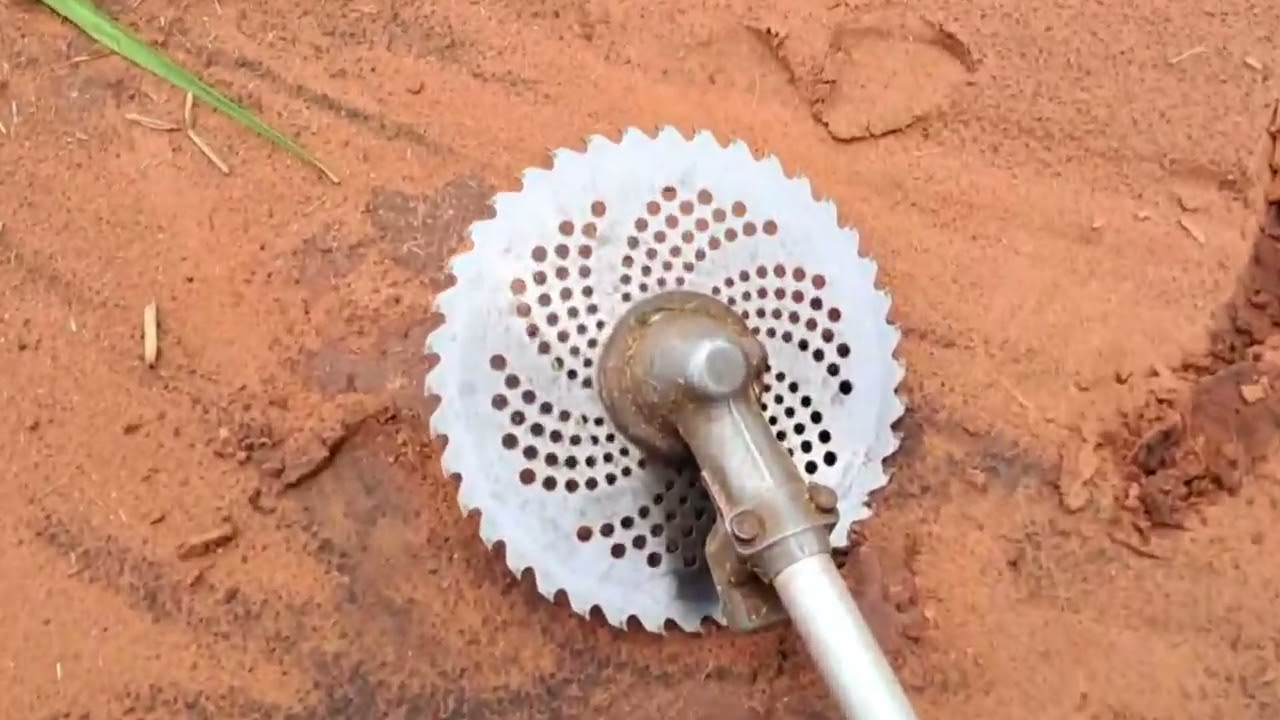 Plantamos nosso capim Açu / busquei adubo para jogar na lavoura de milheto...