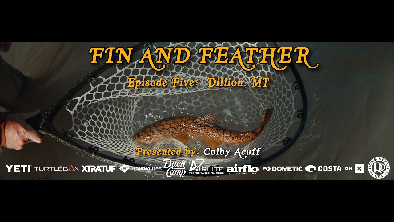 FIN AND FEATHER EPISODE FIVE: 