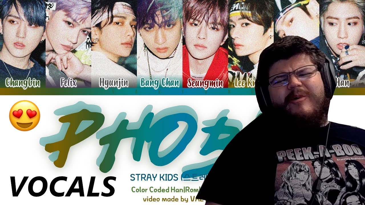 INSANE VOCALISTS?! Stray Kids 