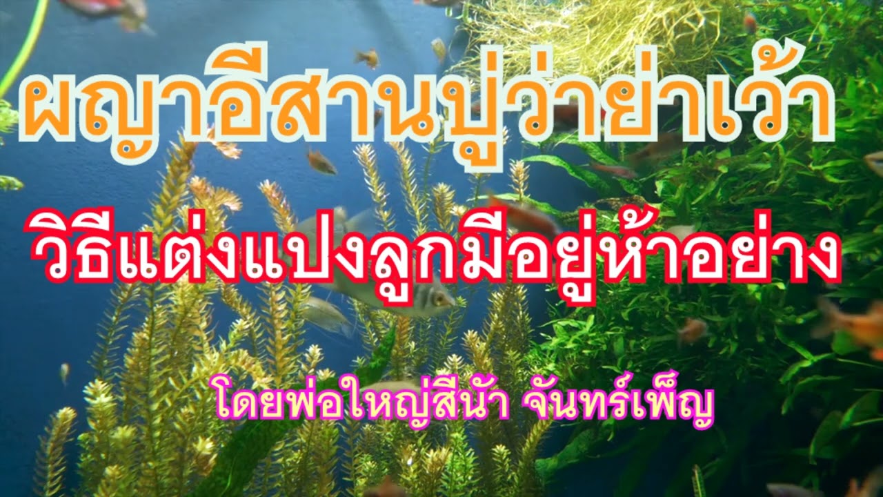 ผญาอีสาน ปู่ว่าย่าเว้าวิธีแต่งแปงลูกมีอยู่ห้าอย่าง โดยพ่อใหญ่สีน้ำ จันทร์เพ็ญ