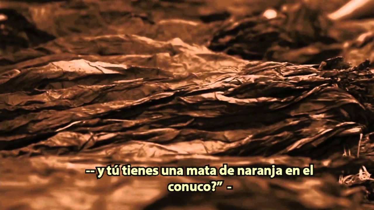 Historia del Tabaco