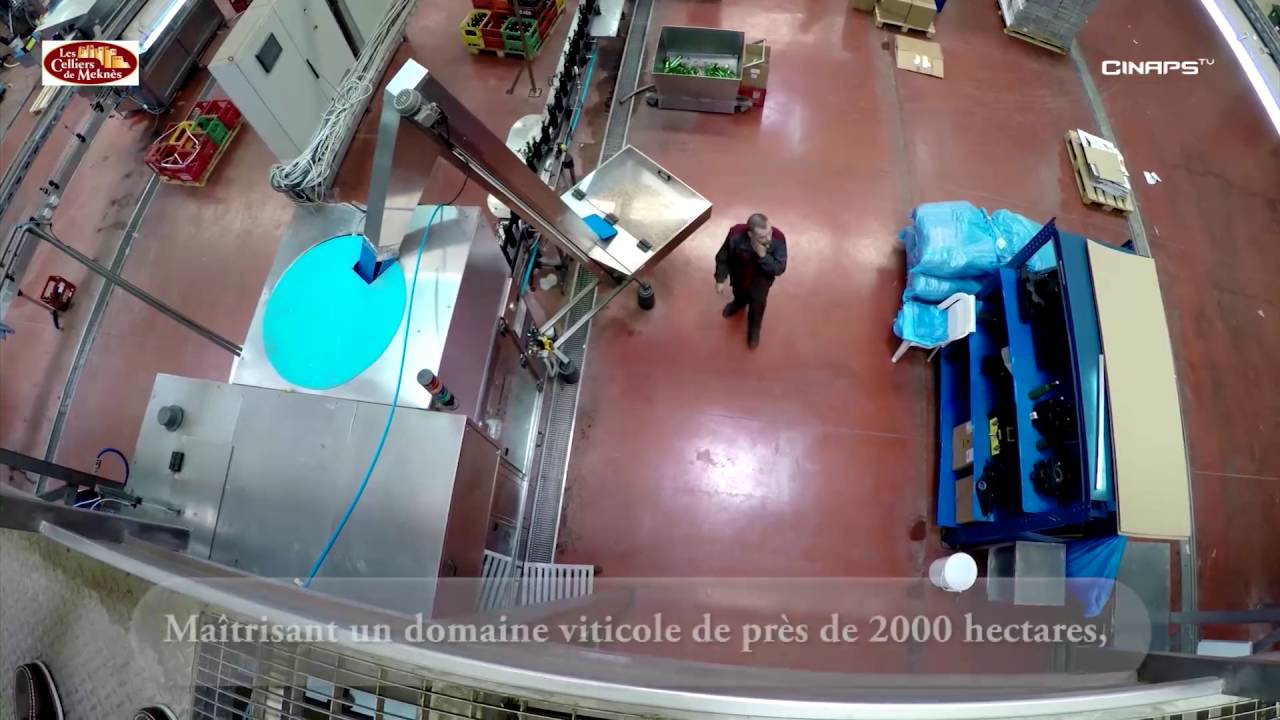 Presentation Les Celliers de Mekn&egrave;s | CMA-Global Group