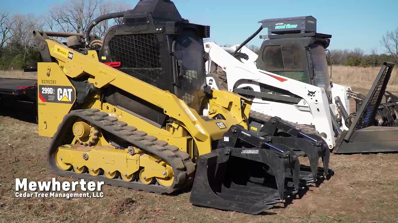Mewherter Cedar Tree Management