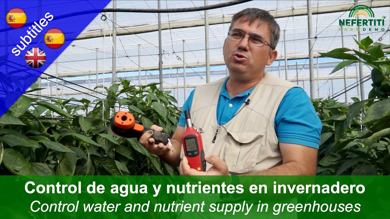 Nuevas técnicas de control del aporte de agua y nutrientes a cultivos en invernadero