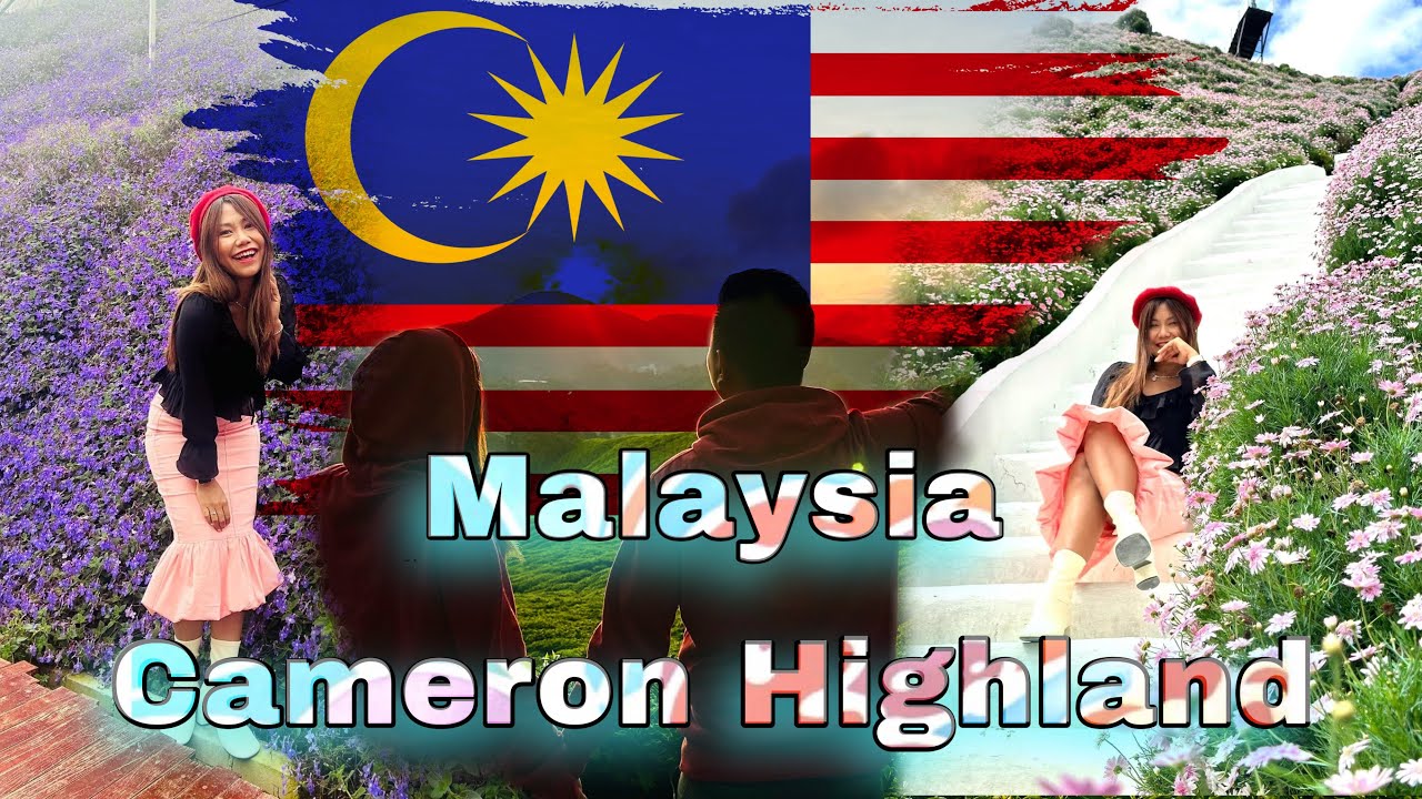 Cameron Highlands 2023 🌺🌷🏵️🌹🇲🇾 Malaysia 🇲🇾 🌻🌼🏵️☘️