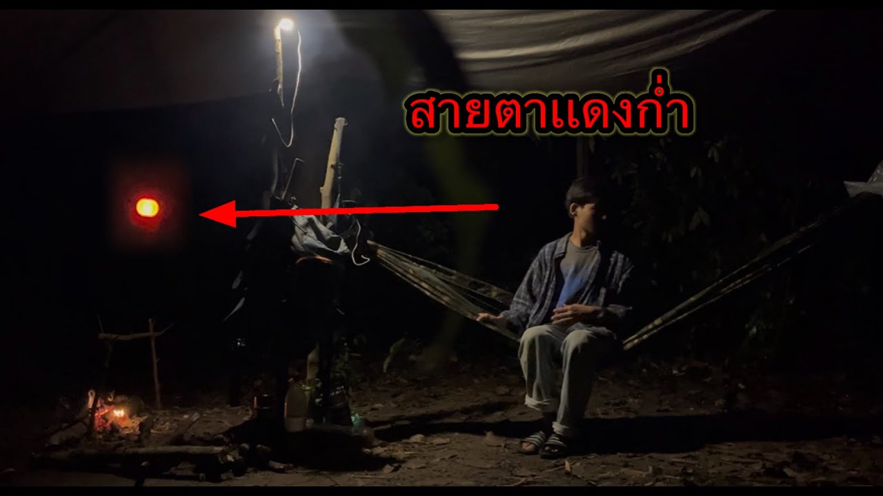 ในวันที่ฝนตกหนักมาก มีดวงตาแดงก่ำจ้องมองมาทางผมเหมือนมันกำลังหาอะไรบางอย่าง ￼