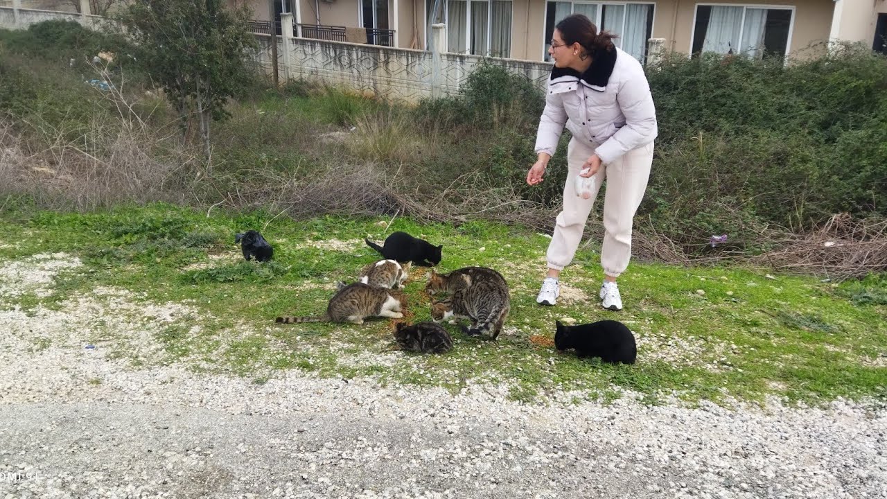 YENİ BATTANİYEM 🥰MARKET ALIŞVERİŞİ👍SOBA FIRININDA MUHTEŞEM SOSU İLE BALIK TARİFİ😋🥰