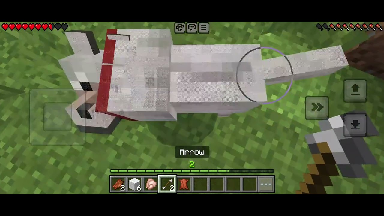 I play minecraft