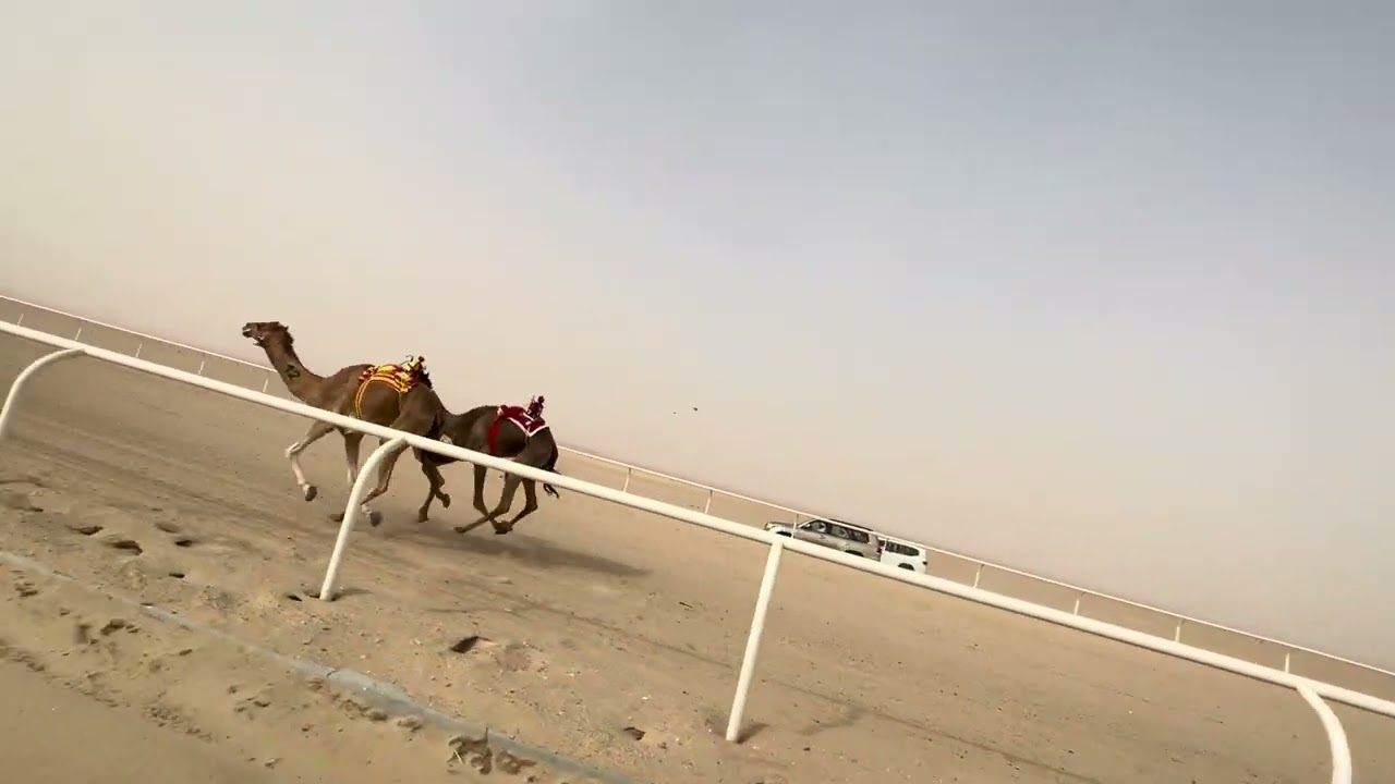 ١ غاره ملك سلطان بن شافي العجمي