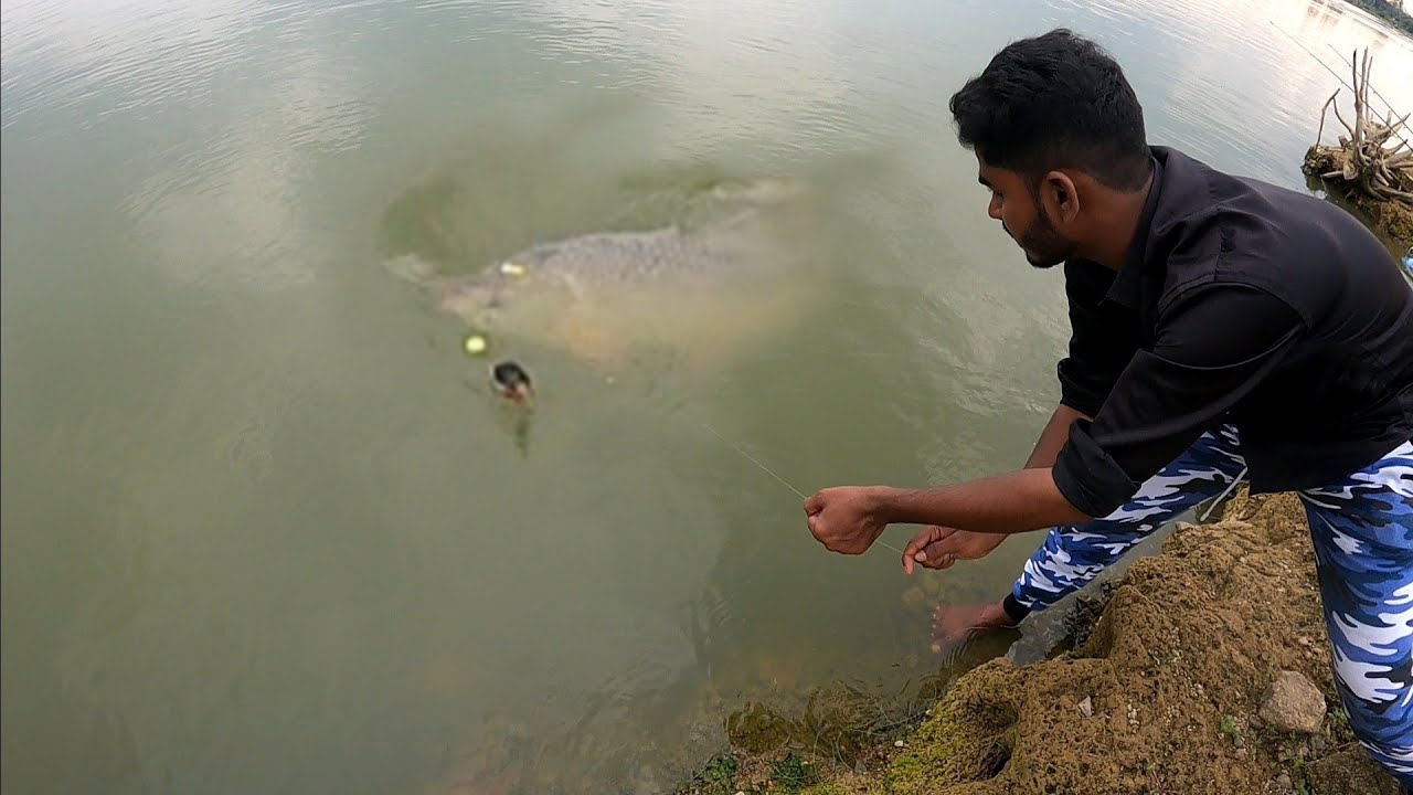 Попробуйте этот трюк!! Быстрый результат при ловле карпа! Охота на рыбу | Видео о ловле рыбы