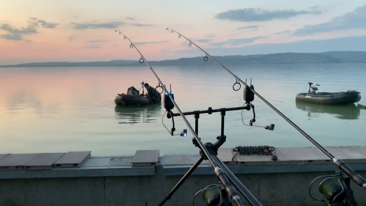 Extra Fast carp run IBCC 2019 Lake Balaton