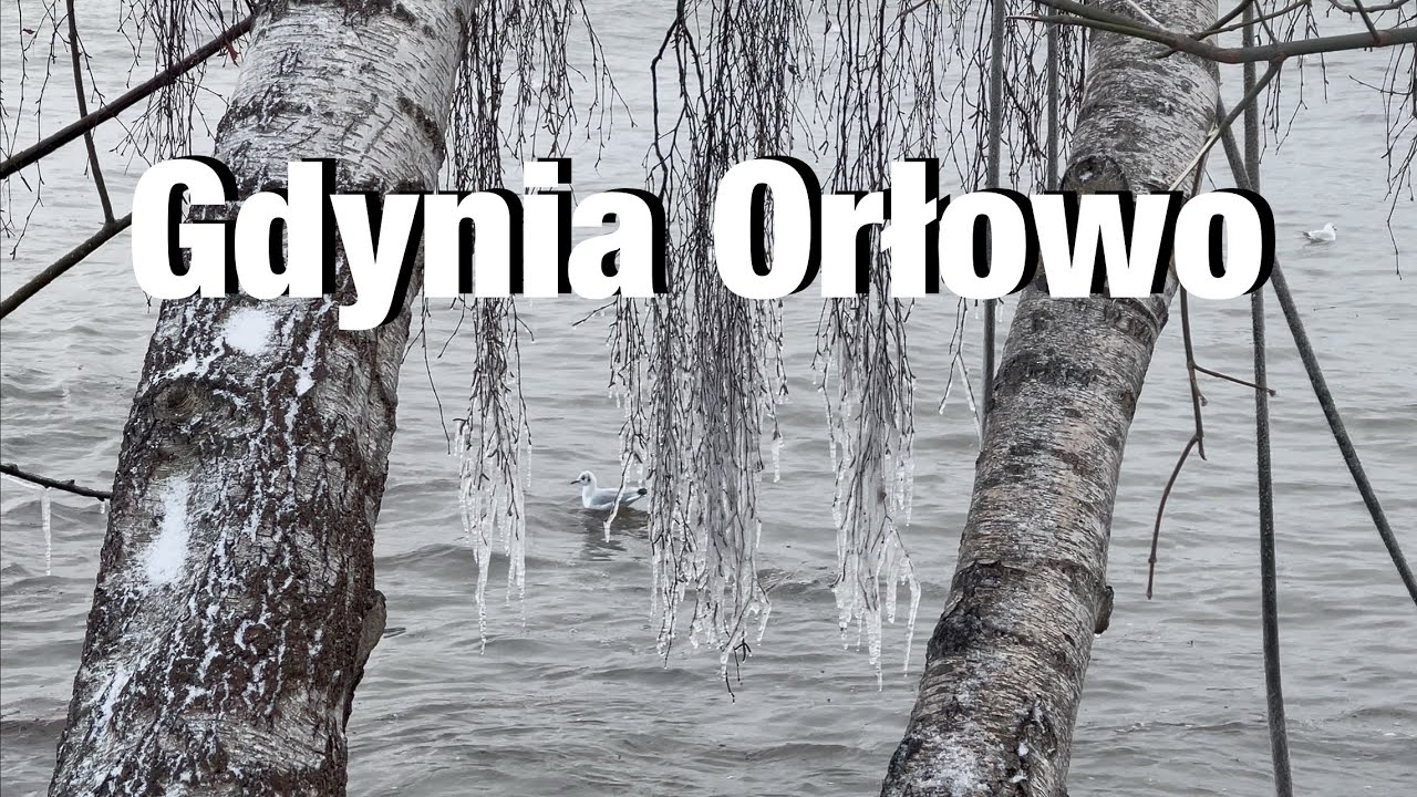 Zima i sztorm zniknęła plaża w Orłowie Gdynia pociągi i surferzy 🌊