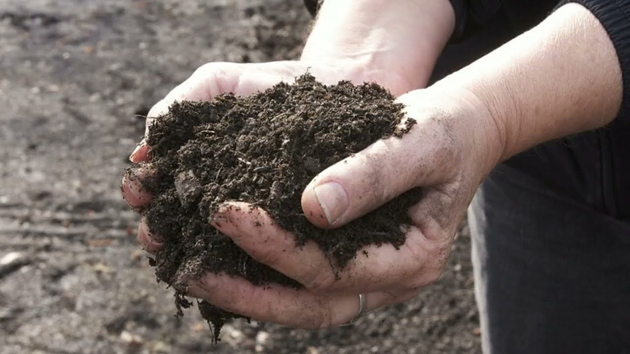 Organics Recycling - Let's Do This!