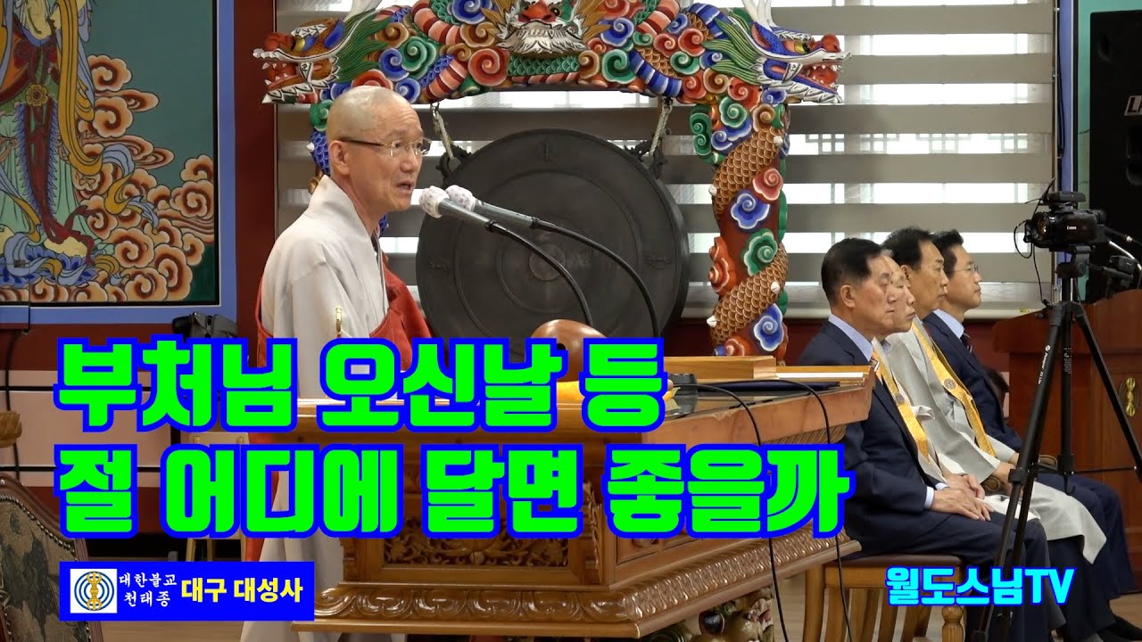 부처님 오신날 등 절 어디에 달면 좋을까(2025.4.20 일요법회)
