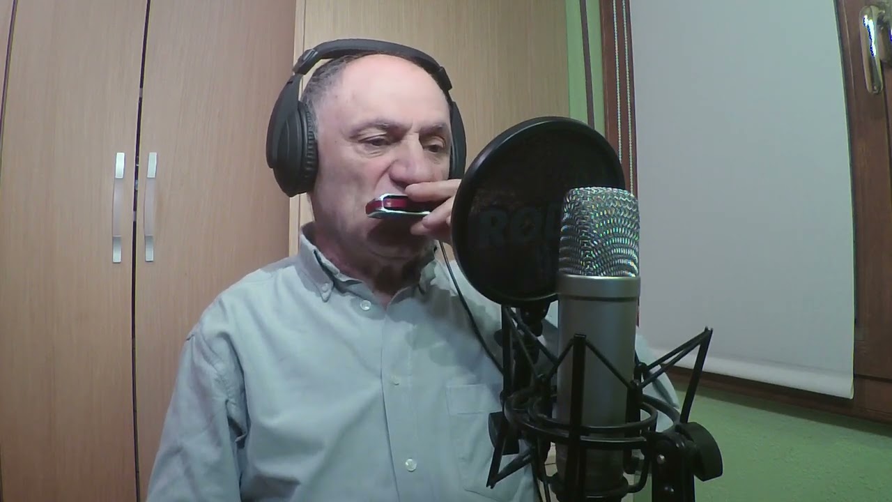 My Baby Left Me - Creedence Clearwater Revival versión - armónica