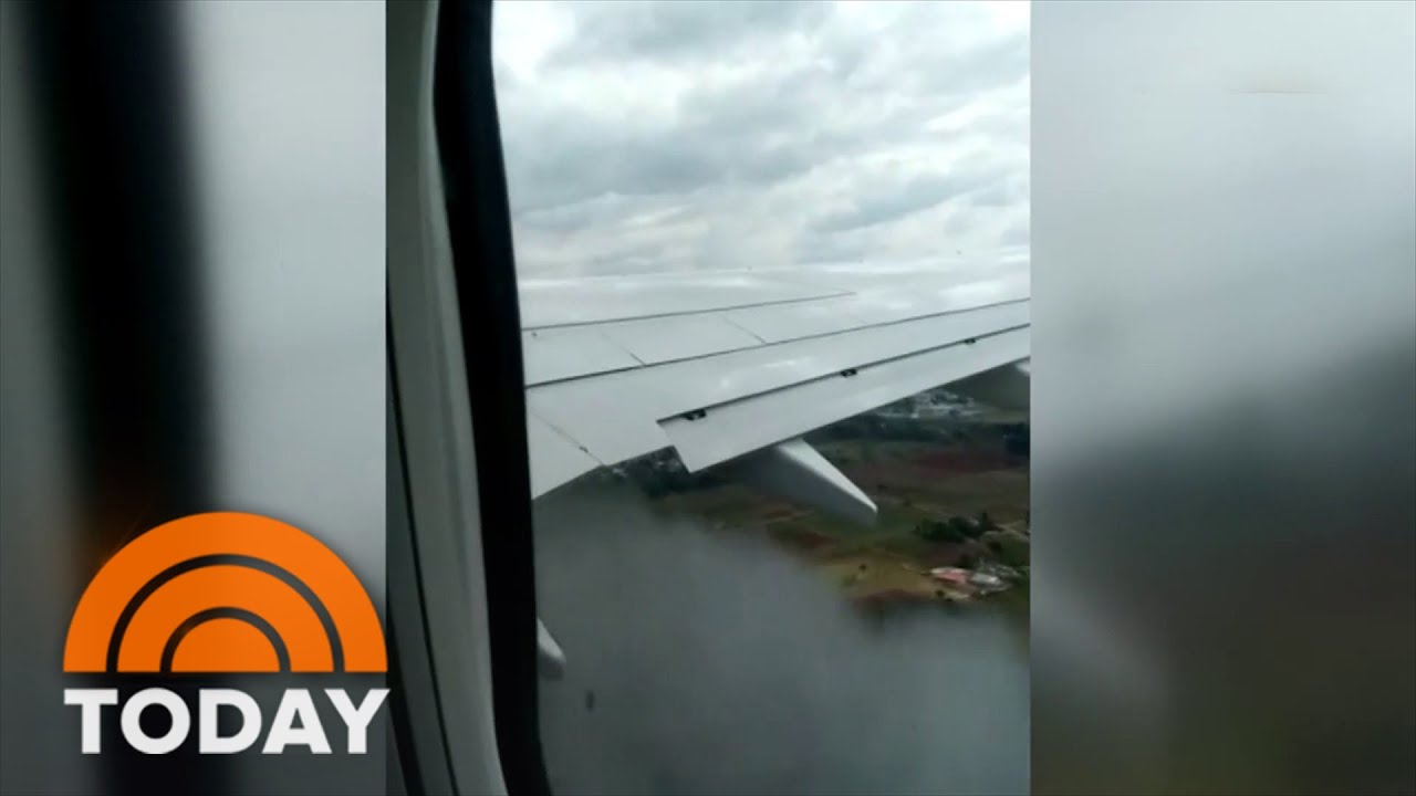 Bird strike forces Southwest flight to make emergency landing