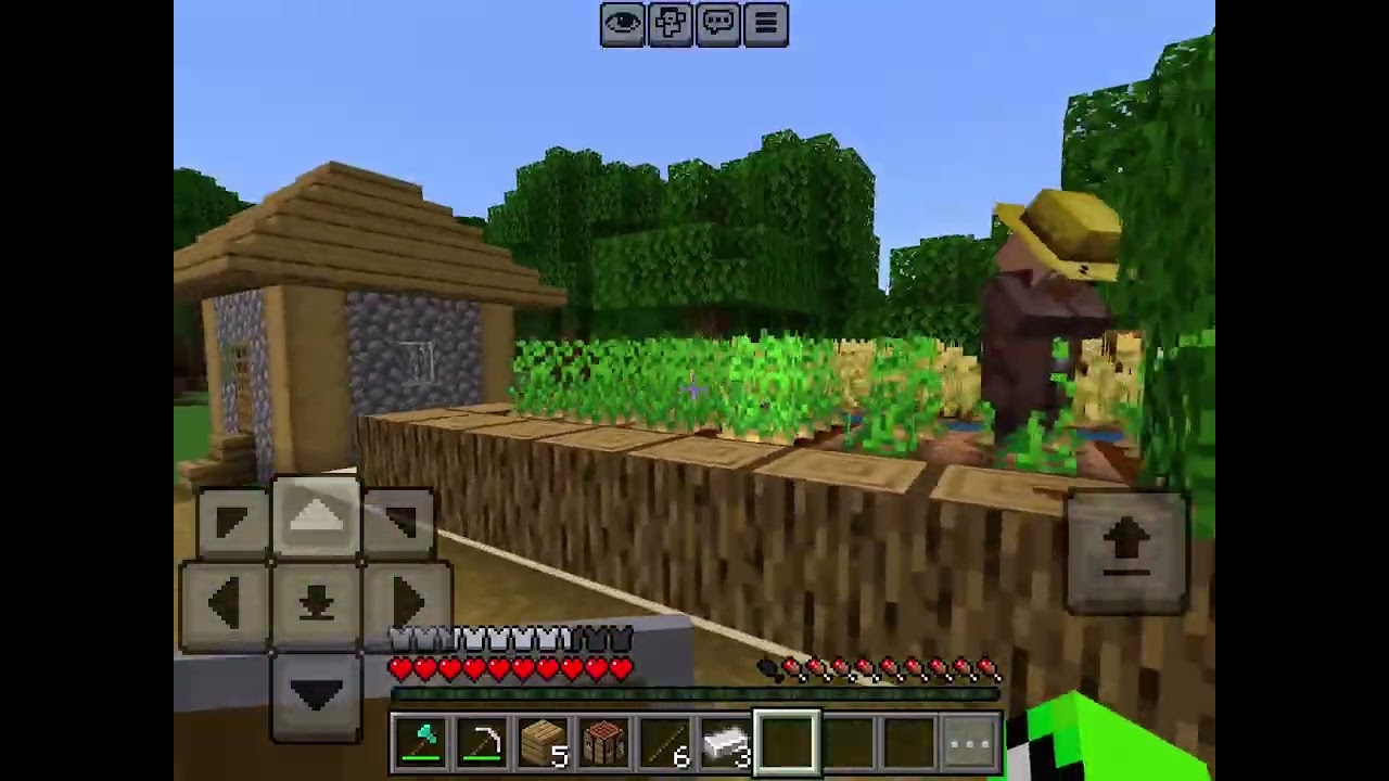 Minecraft village Vedio
