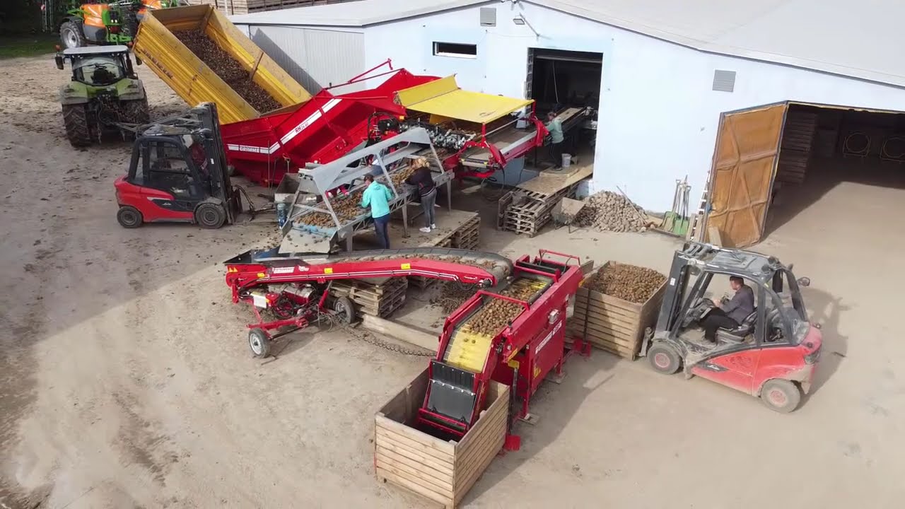 Potato Harvest 2022