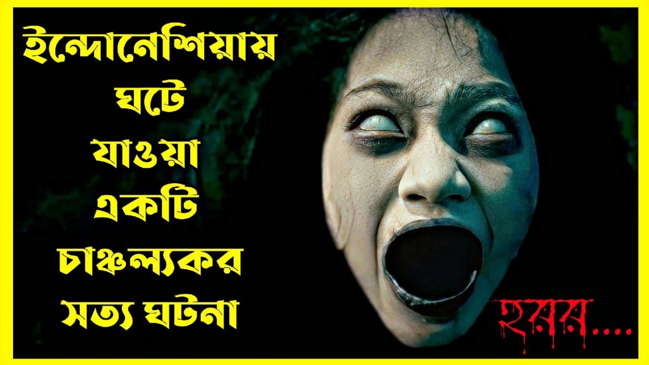 The Butterfly House Movie Explain In Bangla|Indonesian|Horror|Movie With Bonna