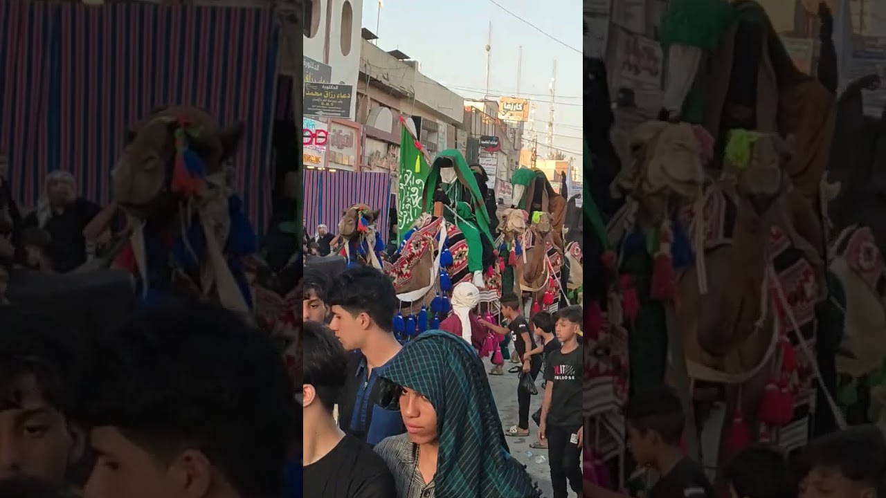 مسيره اهالي الديوانيه الكبرئ في قضاء طويريج الناعي وليد الديواني