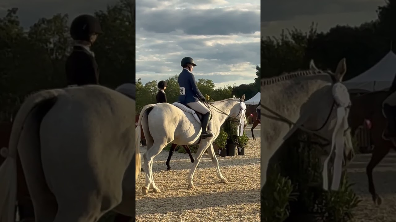 Brought home a 4th out of 54 in the derby 💕