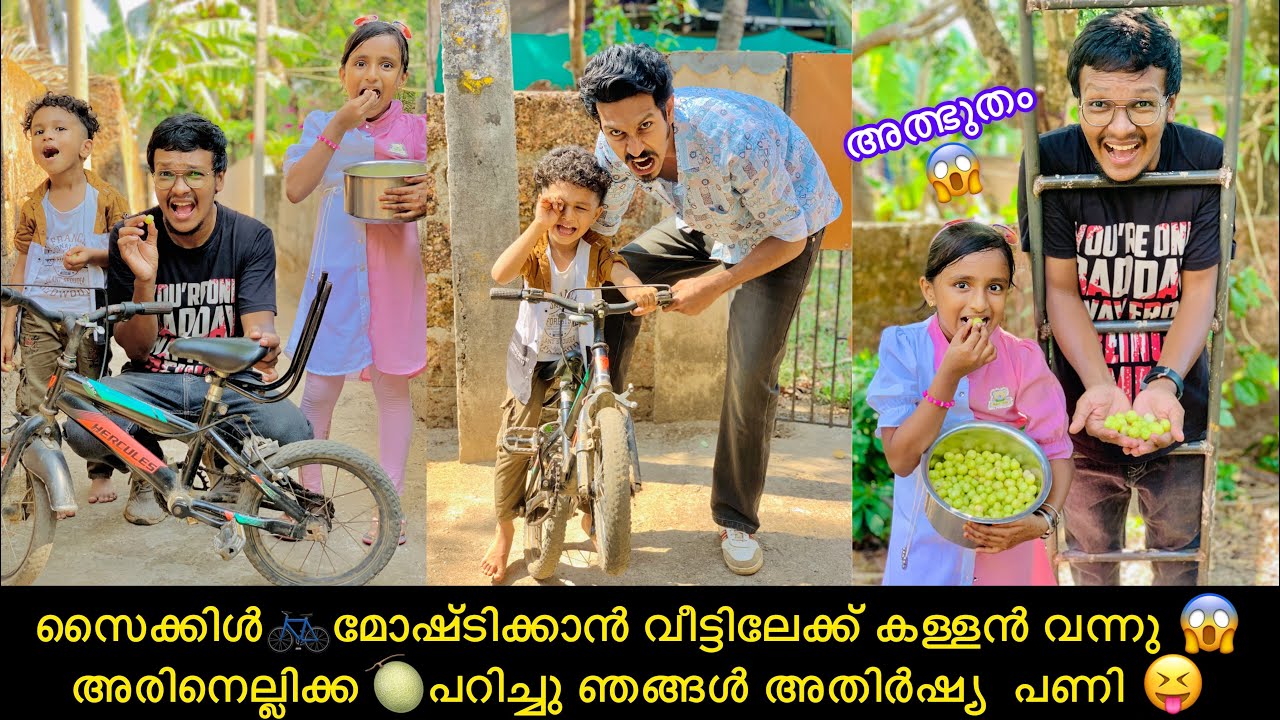 സൈക്കിൾ🚲മോഷ്ടിക്കാൻ വീട്ടിലേക്ക് കള്ളൻ വന്നു 😱അരിനെല്ലിക്ക🍈പറിച്ചു ഞങ്ങൾ അതിർഷ്യ  പണി 😝