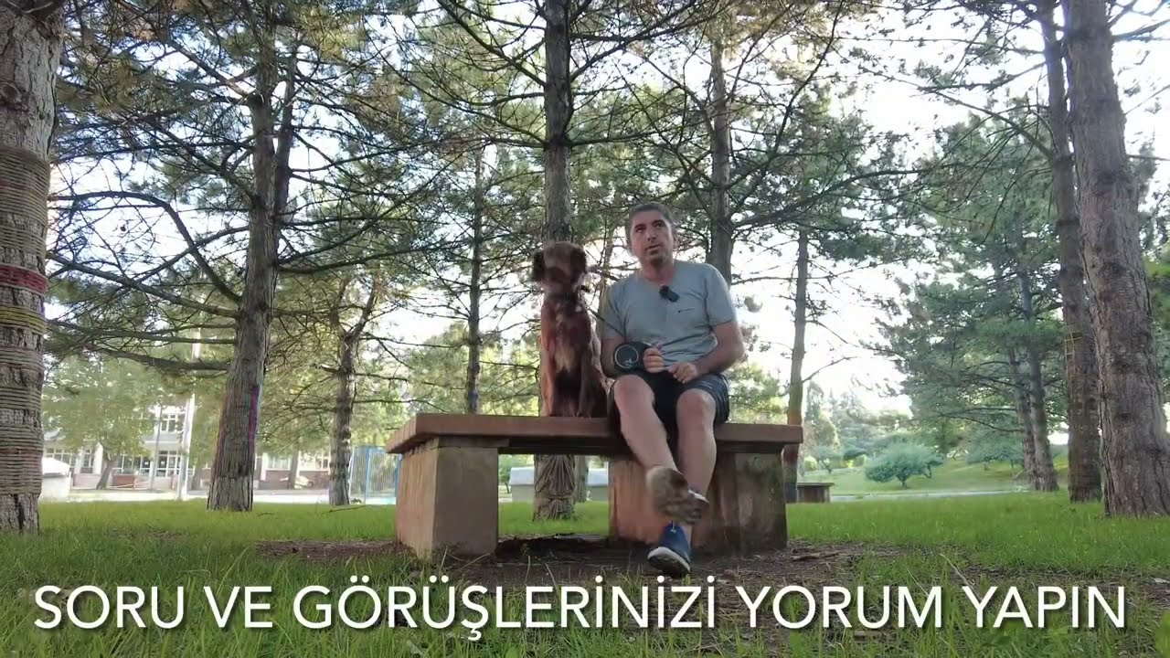 Anadolu üniversitesi tanıtım