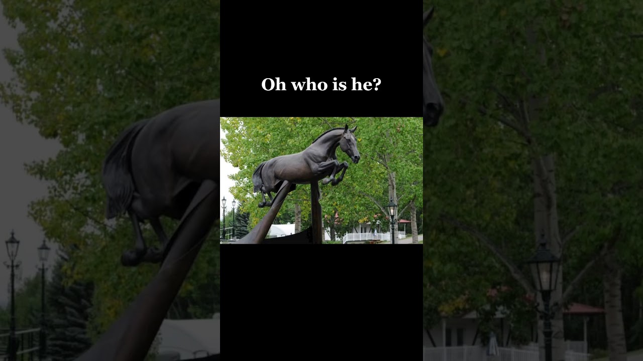 HickStead is a famous jumping horse I am not going to say how he died someone can put it in comments