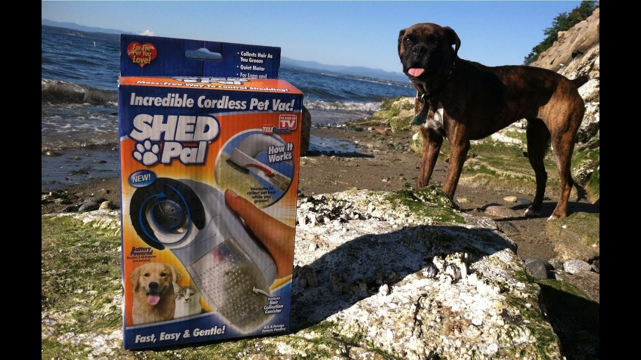 Shed Pal (Incredible Cordless Pet Vac) Review