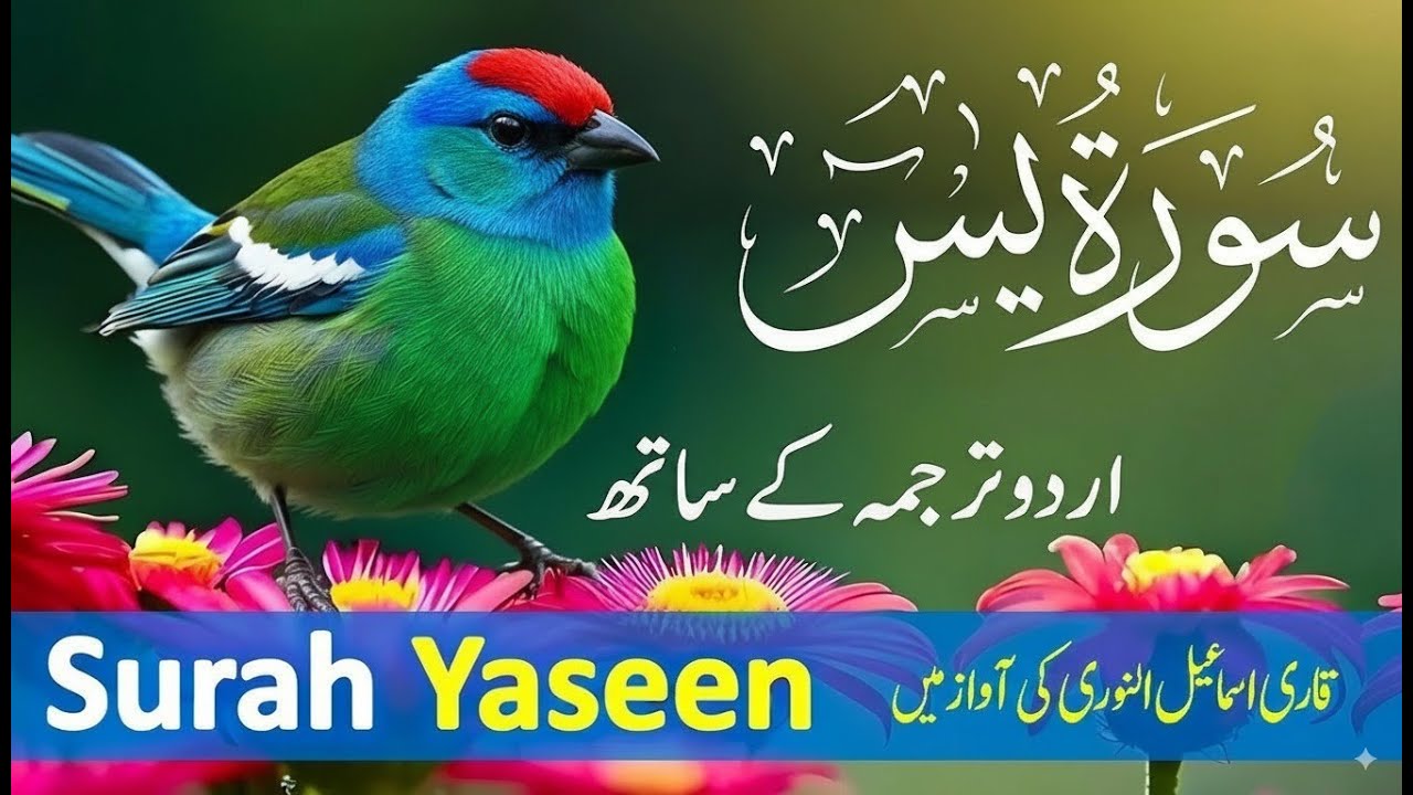 Surah Yasin (سورة يس) | Surah Yaseen with Urdu Translation | Beautiful Quran Tilawat | Hindi Tarjuma