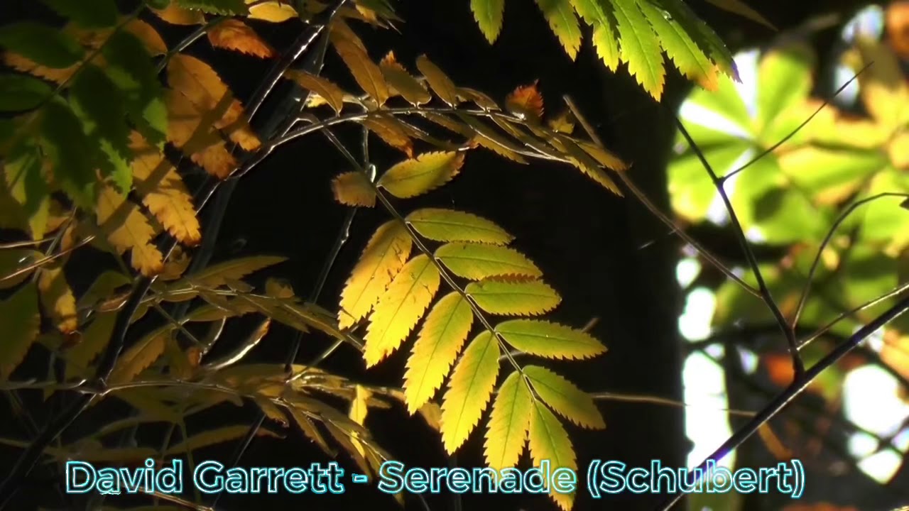 David Garrett - Serenade (Schubert)