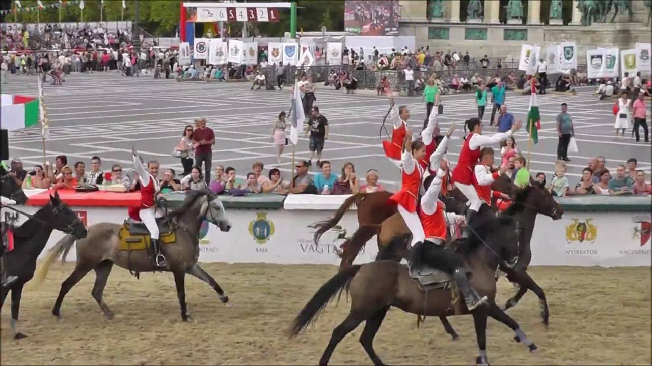 Nemzeti Vágta 2016 - Trükklovas bemutató / vasárnap