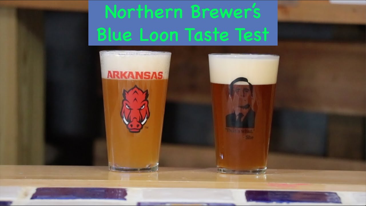 Northern Brewer Blue Loon Taste Test!
