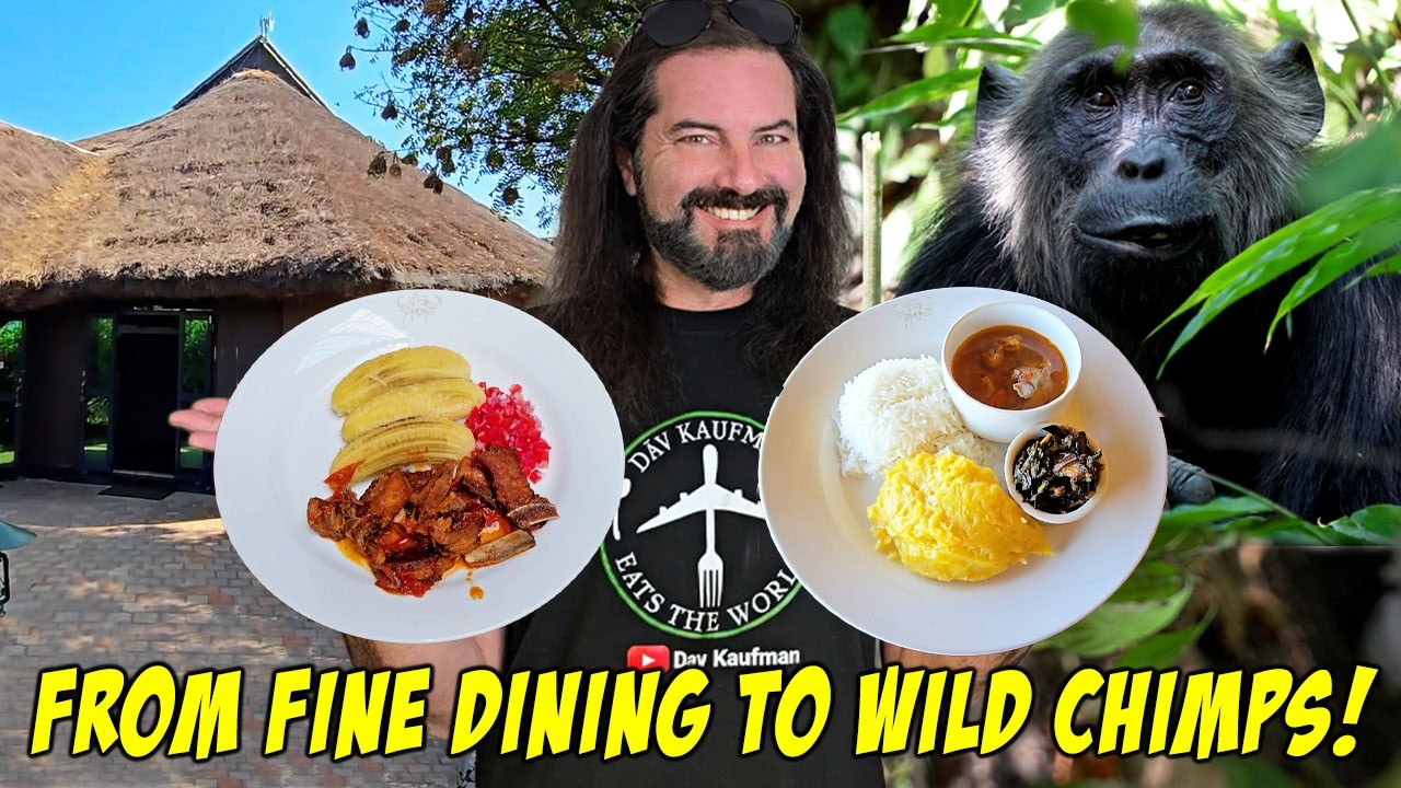 Africa's Luxury Resort was UNREAL but the WILD CHIMP trek blew my mind!
