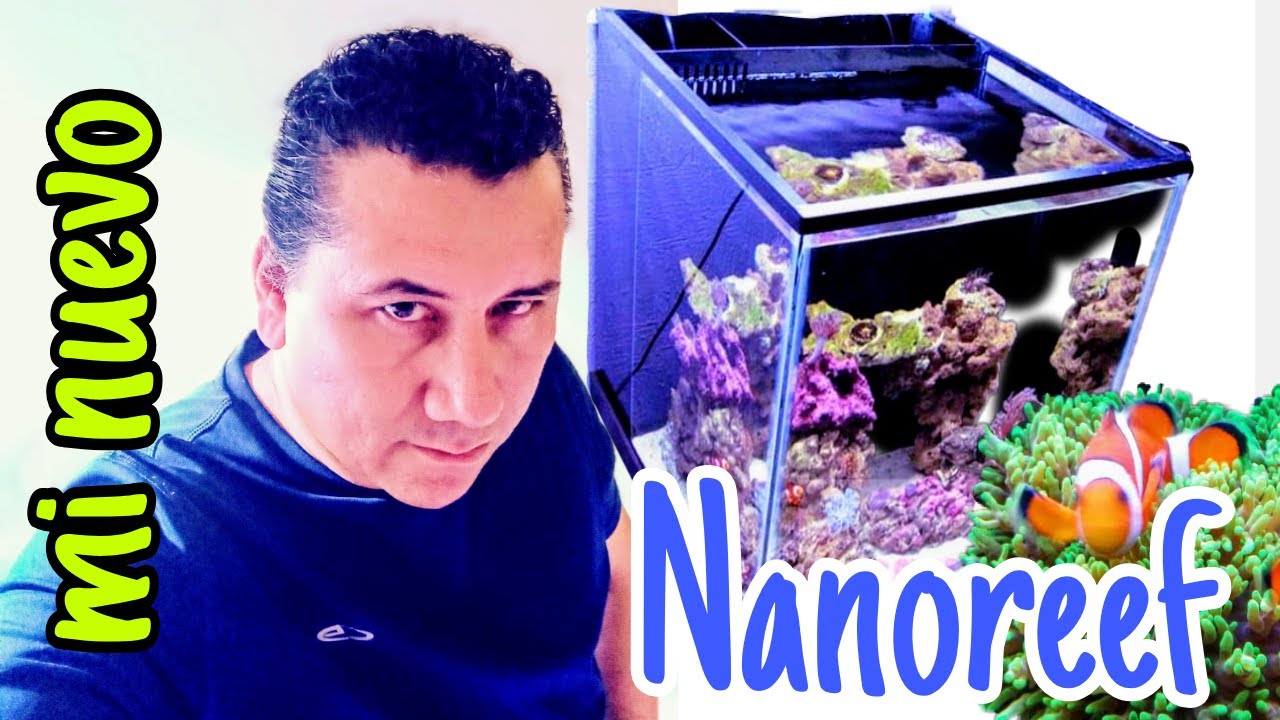 INSTALANDO ACUARIO DESDE CERO
