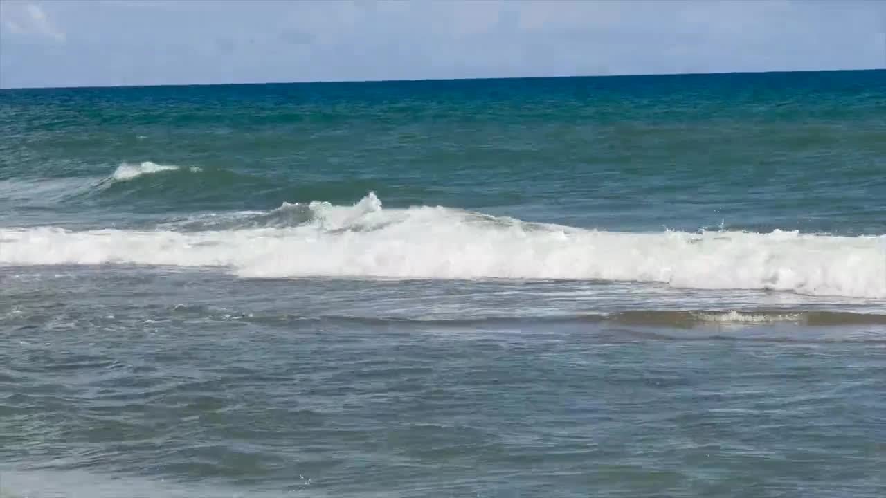 Boca Raton considers surf park among four proposals for North Park recreation site