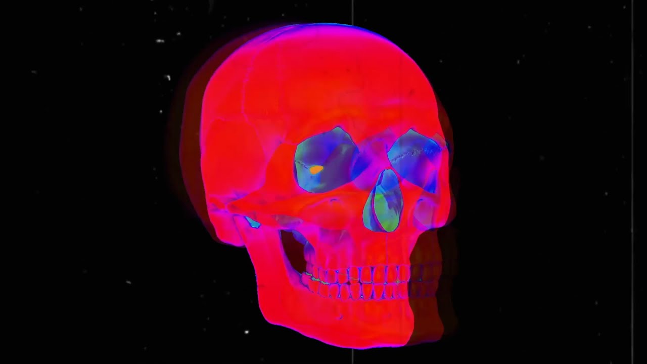 OSEES - Terminal Jape (unofficial)