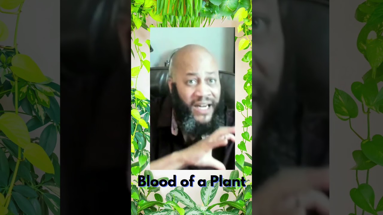 The Secret Strength Inside Plants!