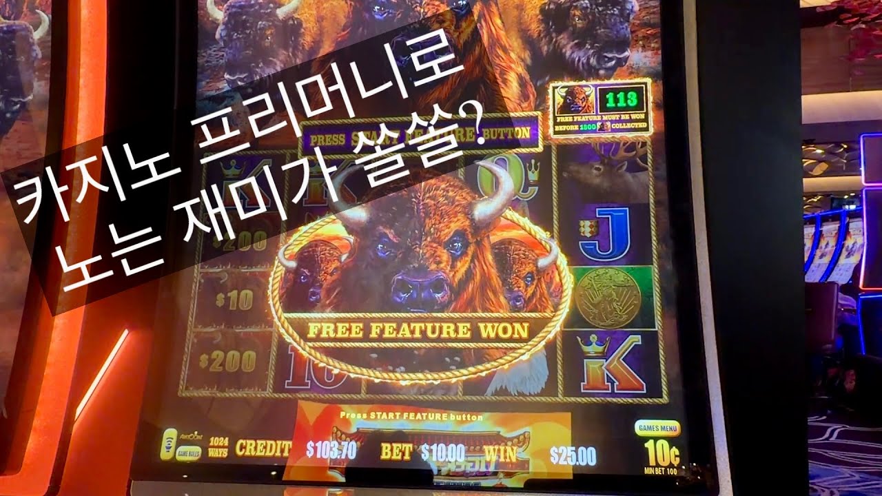 샌프란시스코 카지노 슬롯머신, 오늘은 카지노 공짜쩐으로 한번 놀아볼까? 카지노 쩐의전쟁. 모모모 머미, 내친구 예띠, 부다 드래곤링크, 버팔로