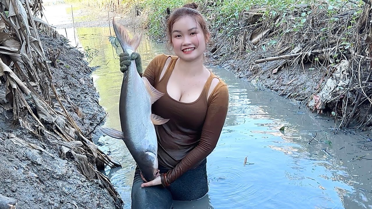 Quay Máy Dầu Nơm Săn Cá Khủng Rất Nhiều Dưới Sòng Bơm | Trúc Phương Vlog