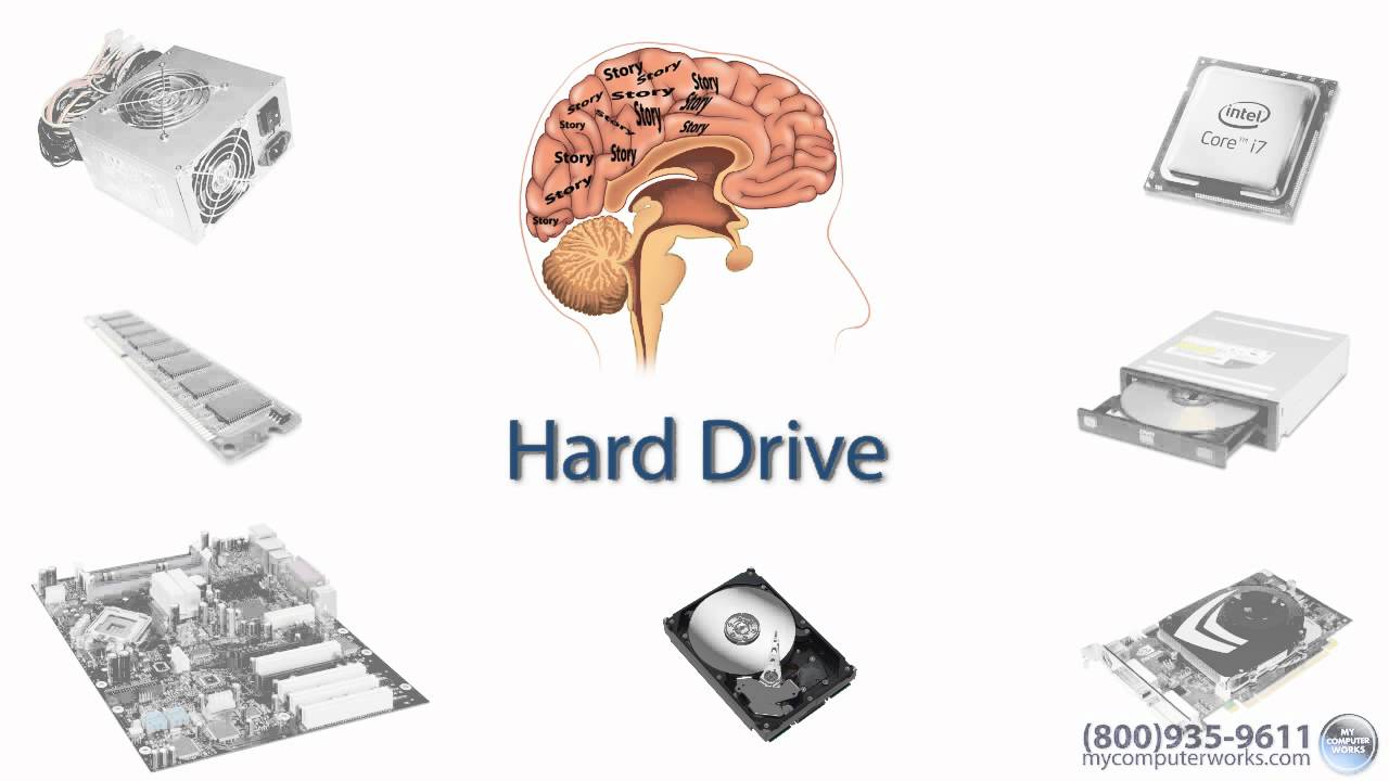 What's Inside Your Computer?