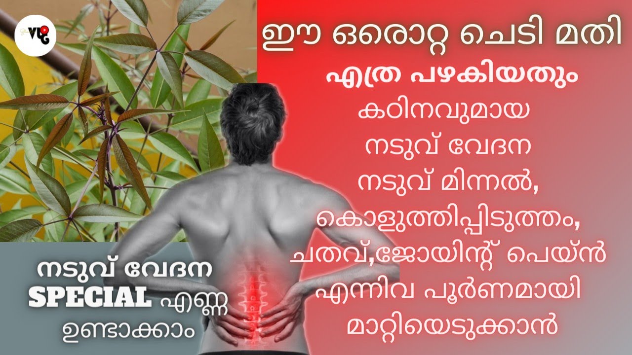 നടുവ് വേദന ഉള്ളവരാണോ, എങ്കിൽ തീർച്ചയായും ഇത്‌ കാണുക|Back Pain Relief|Lower Back Pain Relief