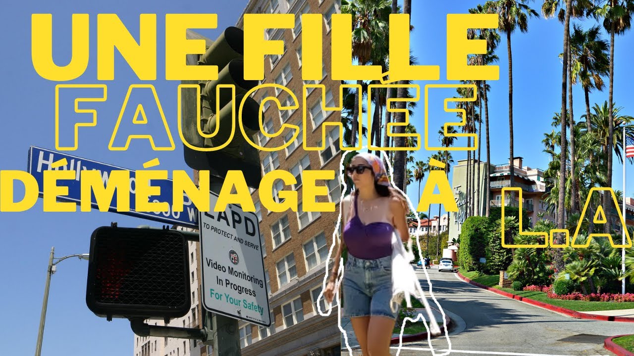 D&eacute;m&eacute;nager &agrave; Los Angeles en &eacute;tant fauch&eacute;e | Leilaventure