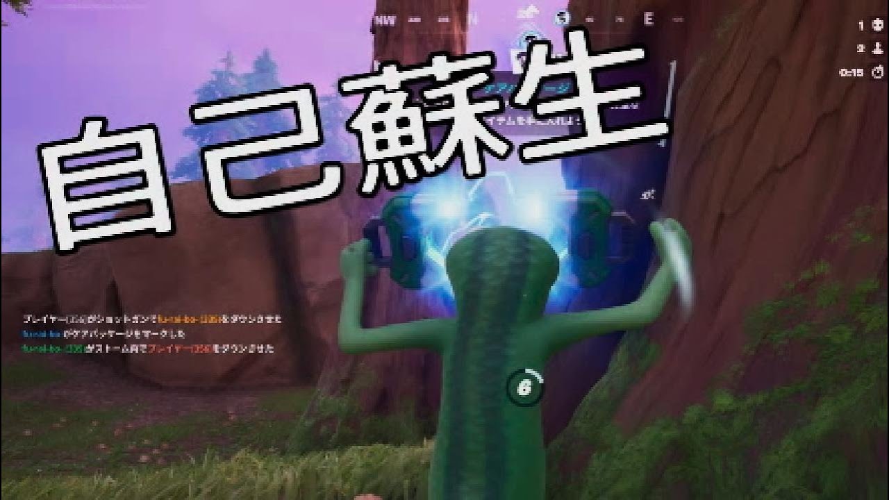 お互いに自己蘇生⁉️〜ソロ